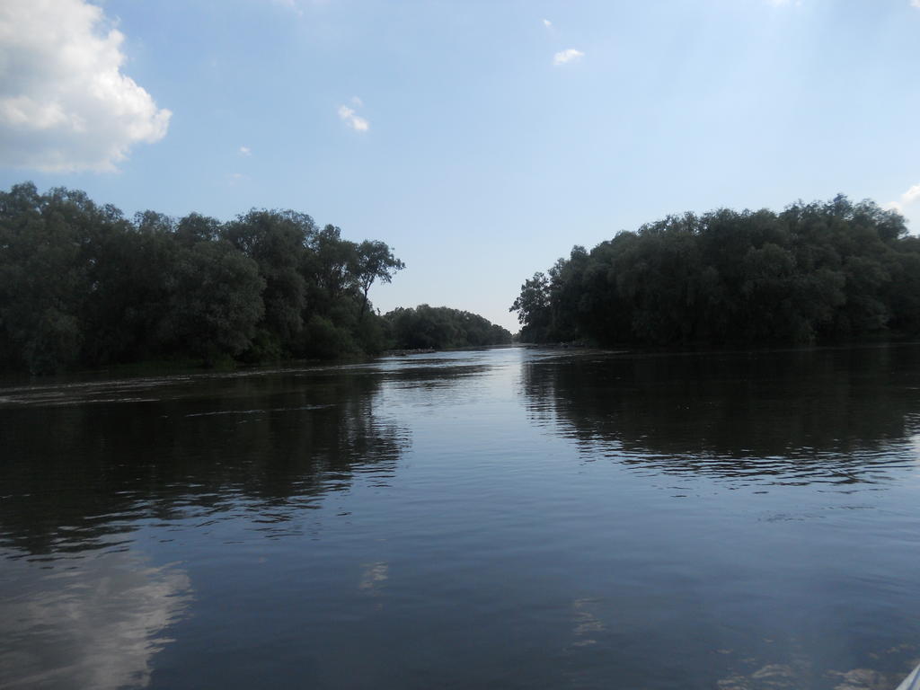 Pensiunea Cristal Tulcea Exteriér fotografie